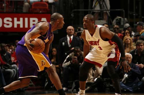 肋部保护 肋部保护